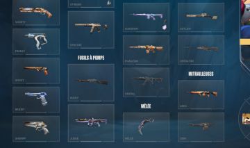 CONTA VALORANT TOP | VANDAL RGX + KARAMBIT SAQUEADOR + ITENS PASSES