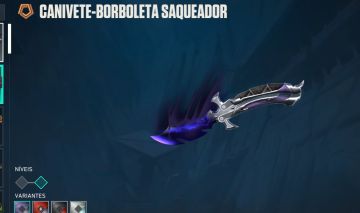 Conta valorant com muitas skins