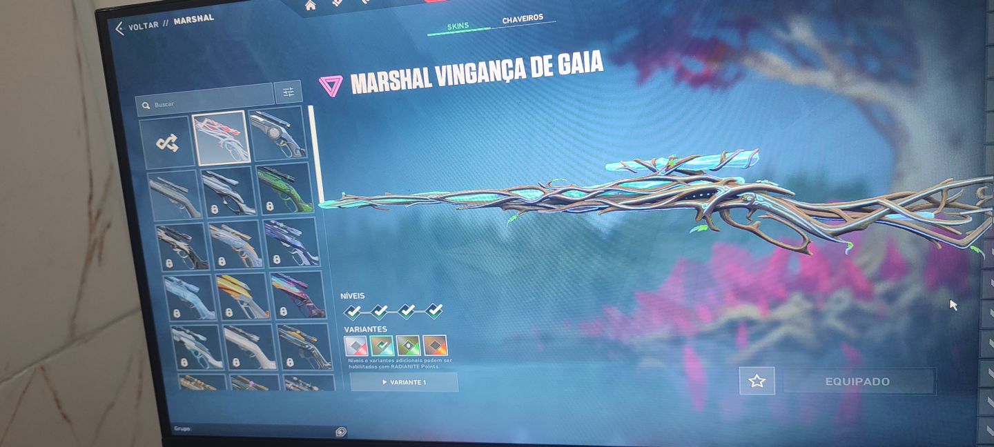 Conta de Valorant Dima 1