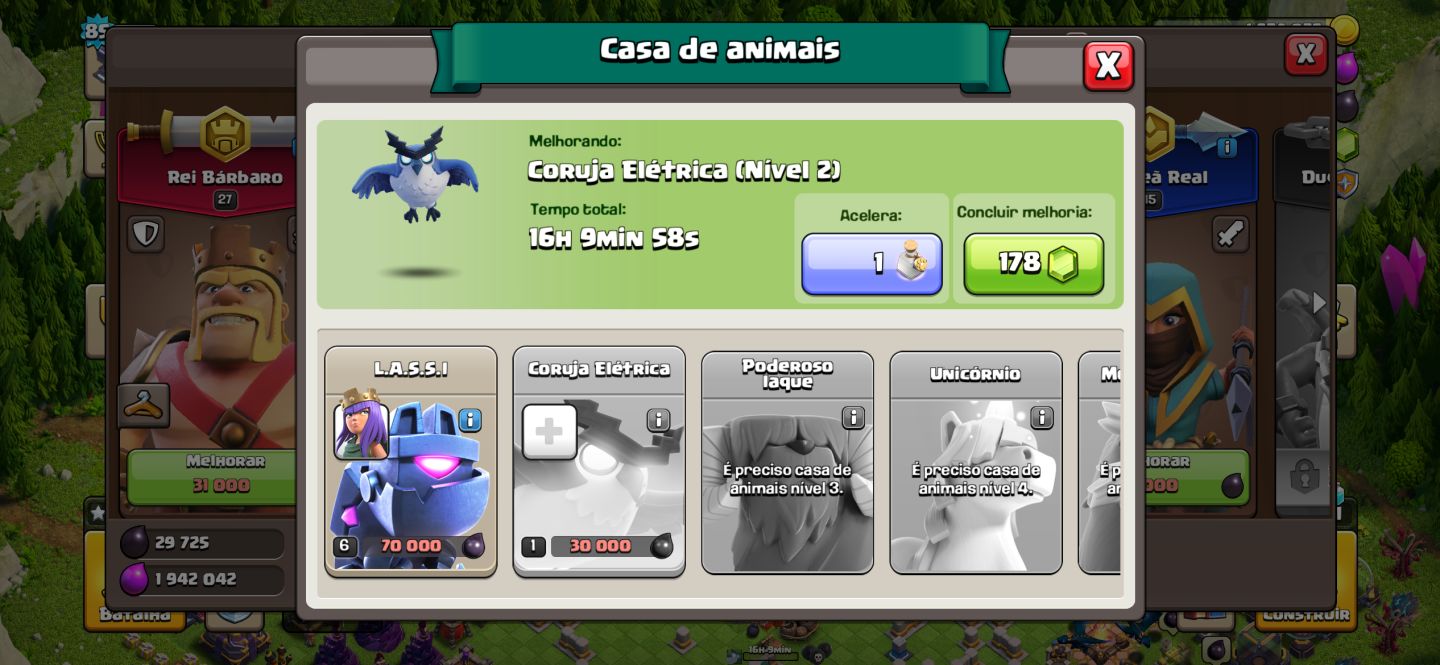 CV15 RUSHADO