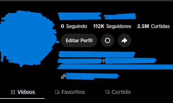 CONTA TIKTOK +112K SEGUIDORES REAIS + 2.5M CURTIDAS | ALTO ENGAJAMENTO