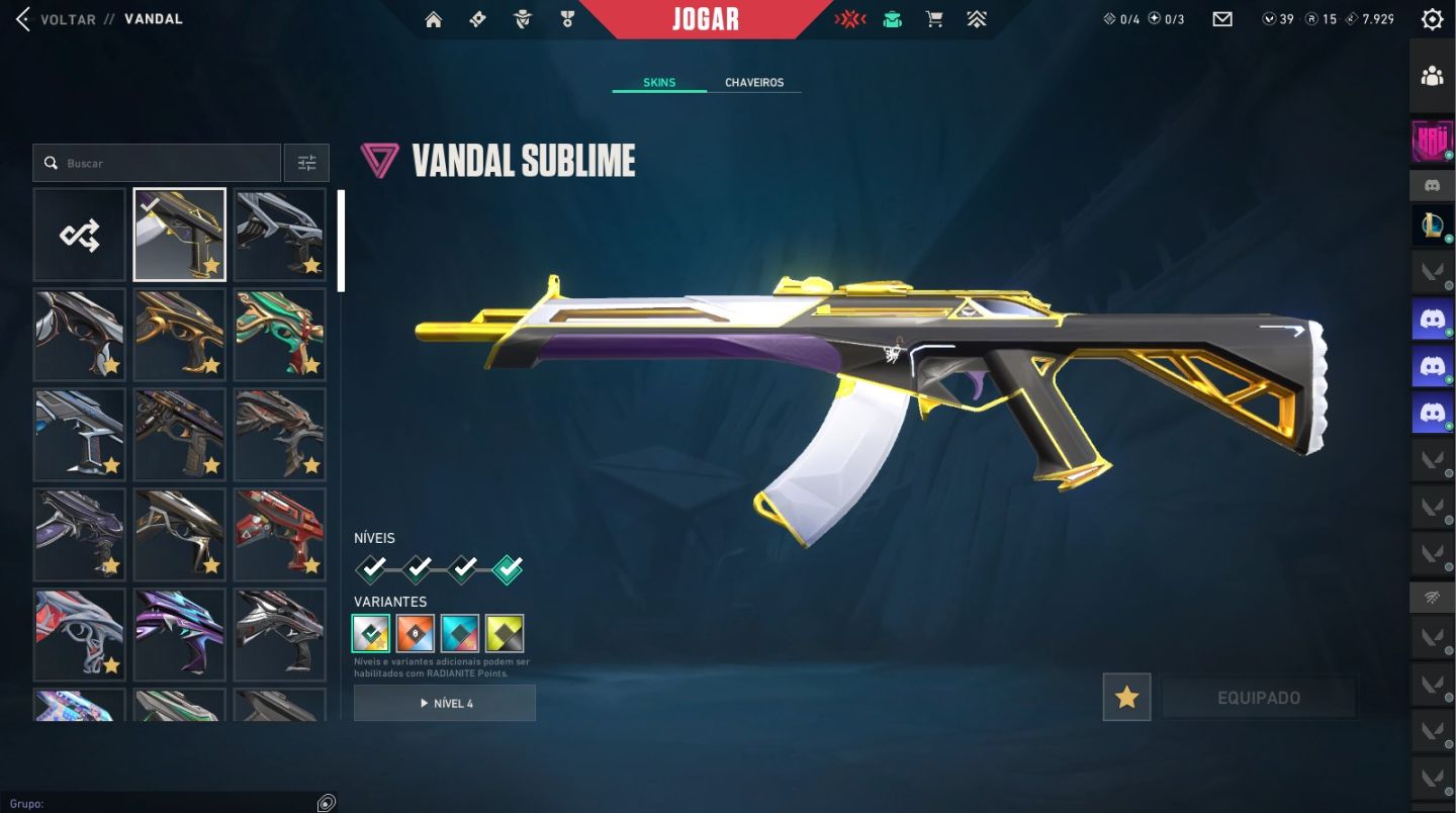 Conta Riot (LoL e Valorant) +225 Skins no Lol/+40 Skins (Premium+) no Valorant