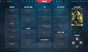 CONTA VALORANT COM 2 SKINS(VANDAL E PHANTOM) E O CARD DA TEAM VITALITY 2025