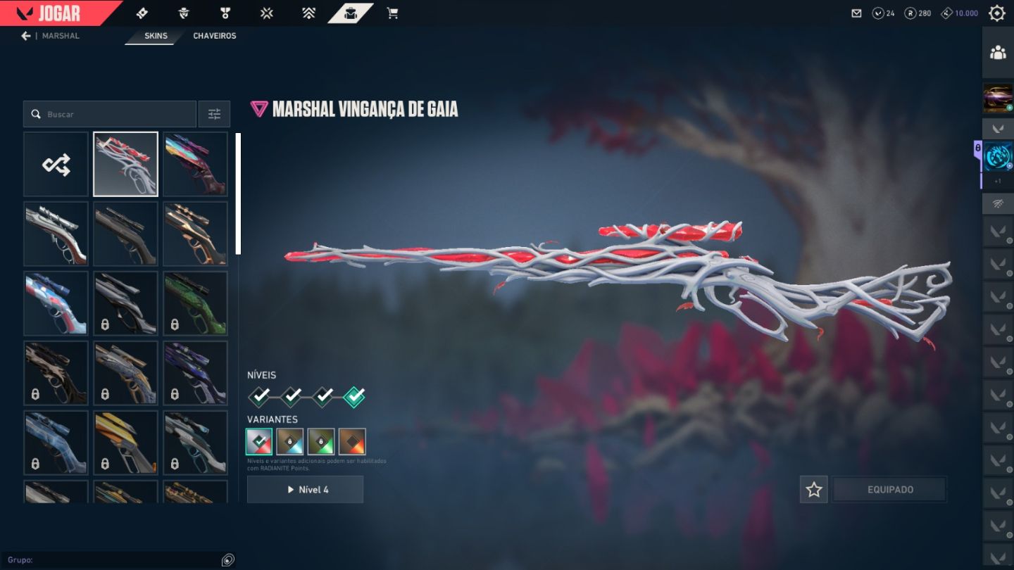 CONTA VALORANT MAIS DE 25 SKINS COMPRADAS/PACOTE CHAMPIONS 2022 EMAIL VERIFICADO