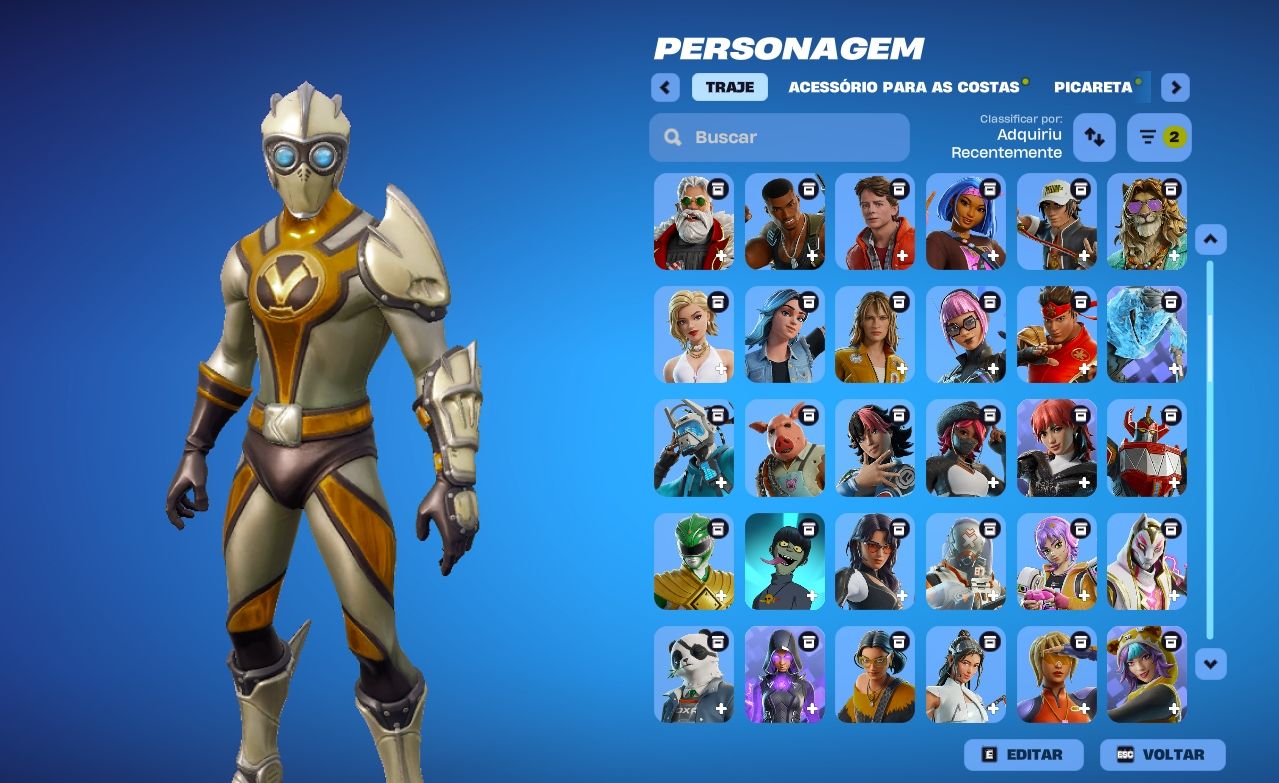 Conta Fortnite + Epic Games conta da Epic Games com excelente coleção