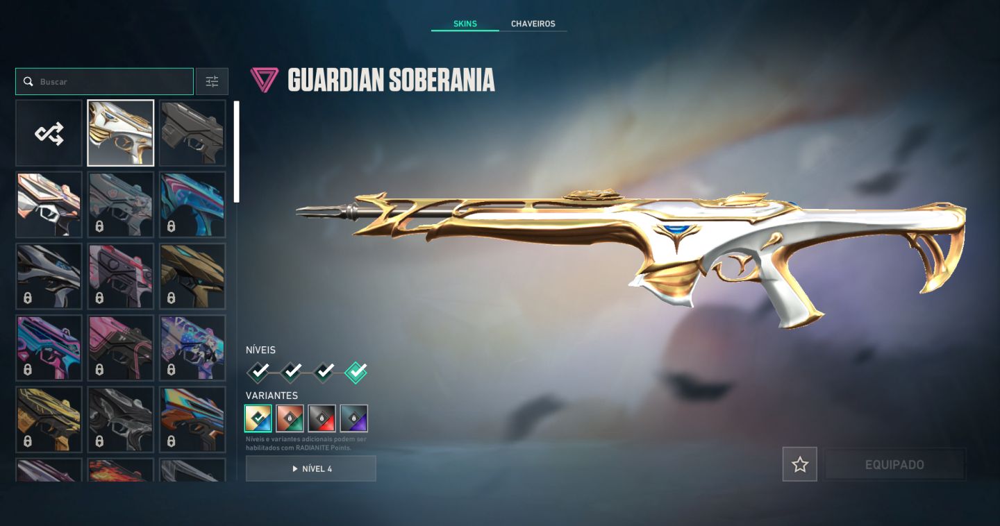 Conta Ascedente 3 com Karambit VCT Américas e vandal e butterfly champions 2025