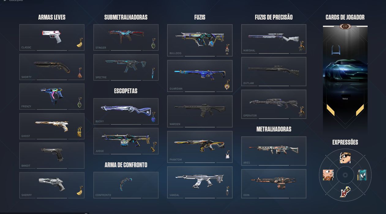 Conta de valorant - Varias skins - Skin champions 2024 - lvl 177 - com dados