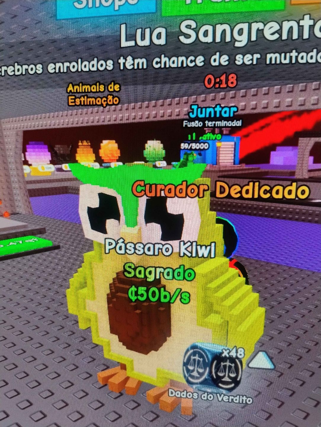 Spin a Brainrots