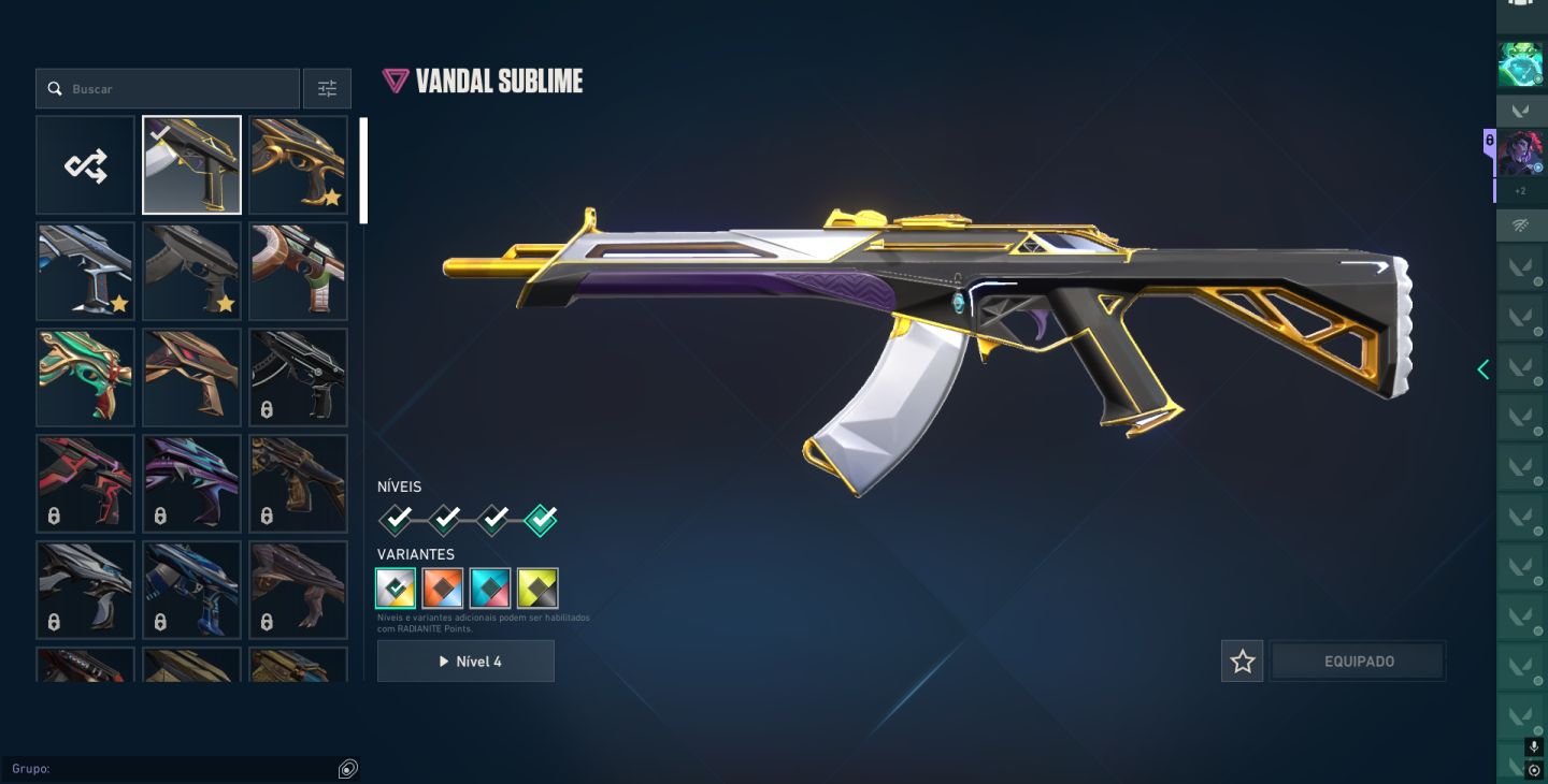 Conta de valorant com varias skins