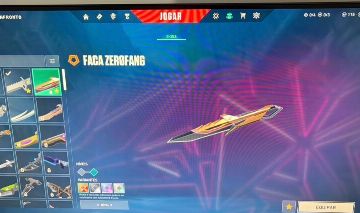Conta valorant 600 reais gastos