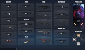 Conta Valorant FULL AGENTES, LVL 210+, PEAK ASC 2 e COM BOAS SKINS