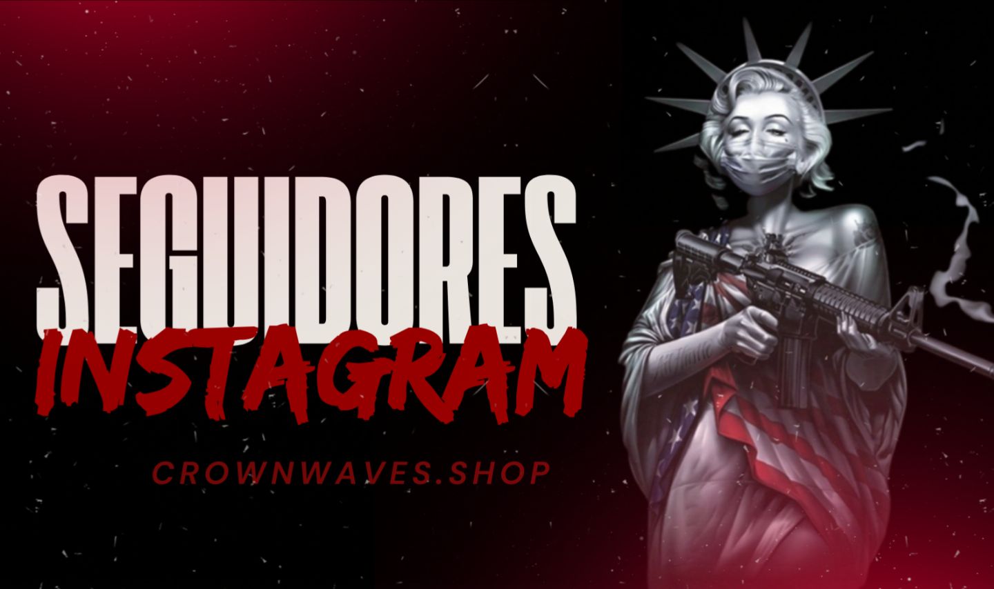 SEGUIDORES INSTAGRAM