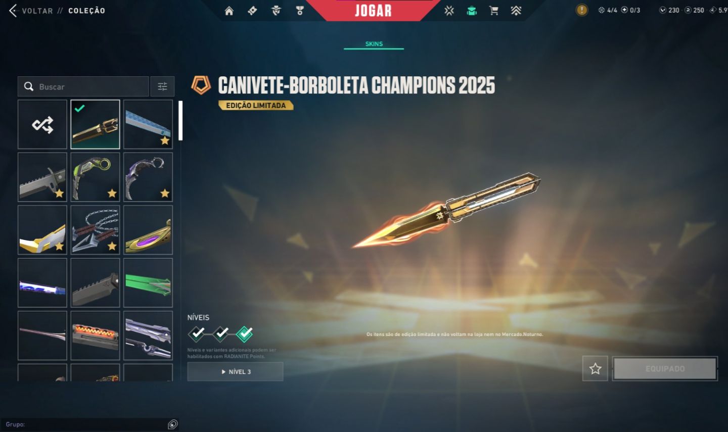 CONTA VALORANT CHAMPIONS 2025 + 12 FACAS | 14 VANDAL | ... +R$2500 GASTOS