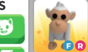ALBINO MONKEY FR