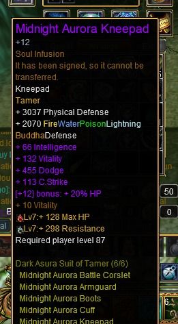 Tamer Full DR PvE +12