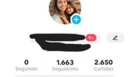 CONTA 1.6OO Seguidores Reais + L PRONTO PARA USO (SUPORTE NA ENTREGA)