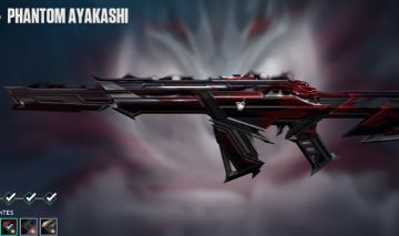 Skin todas armas + de 2500$ Gastos Unico Dono