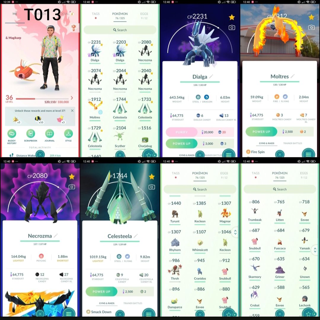 LVL 36 | 3 NECROZMA + 3 CELESTEELA + 2 DIALGA + MOLTRES | T013