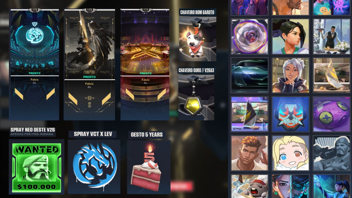 CONTA VALORANT NÍVEL 175 / PRATA 3 / 12 SKINS