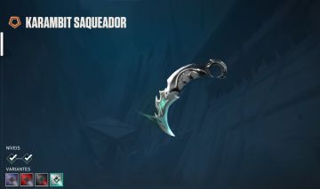 Conta Valorant Full acesso / Karambit saqueadora