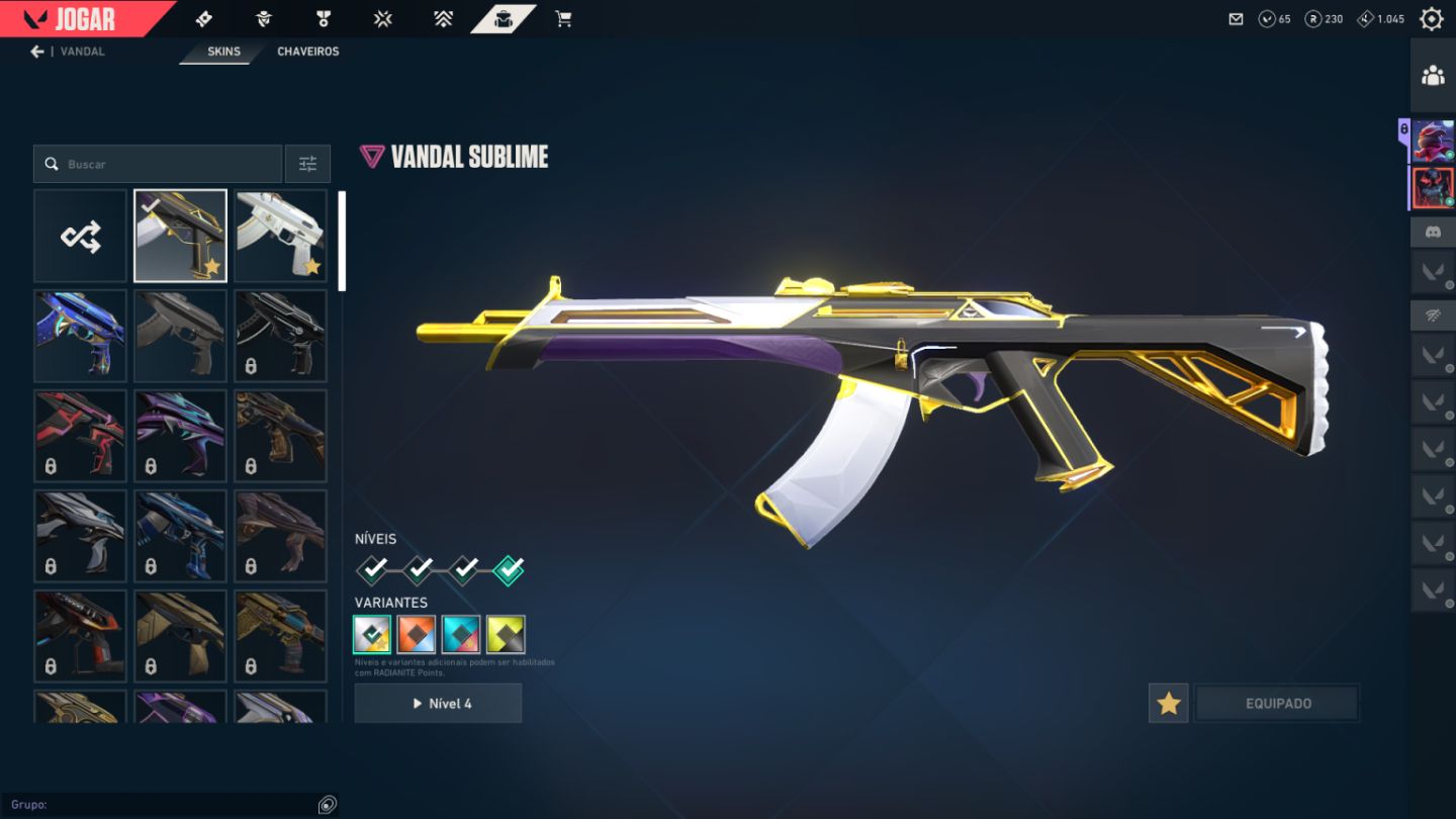 Conta Valorant com Skins - Lvl 102 - Full Agentes - Full Acesso