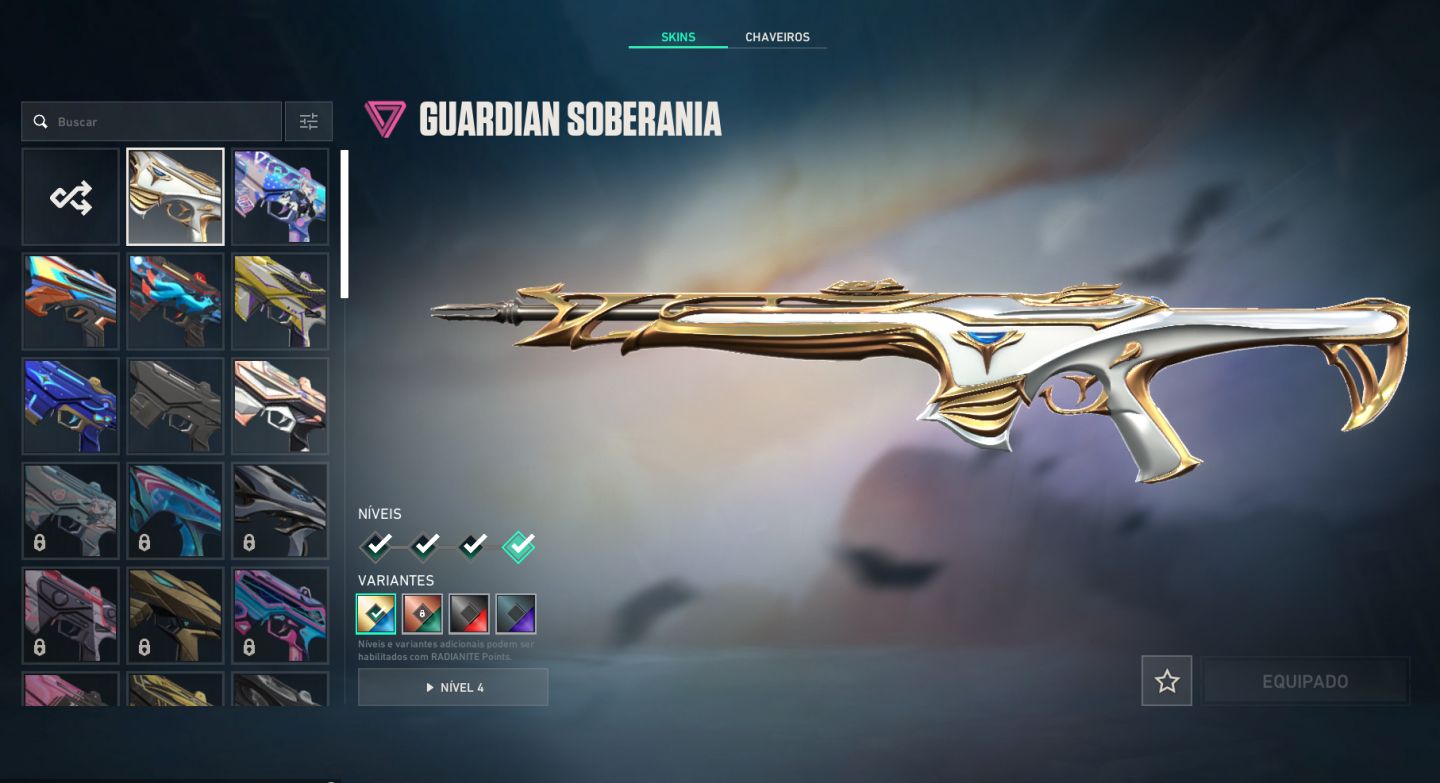 Conta Valorant 29 Skins, Skins do Champions 2024, FULL ACESSO (Leia a Descrição)