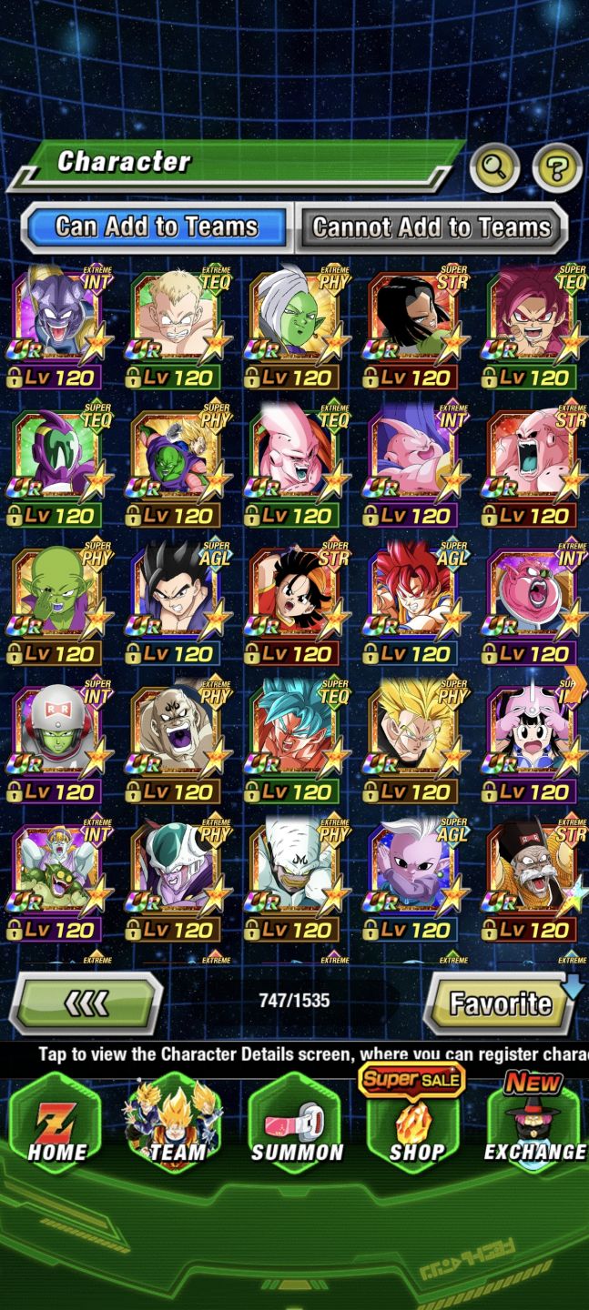 END GAME DOKKAN + 6K STONES