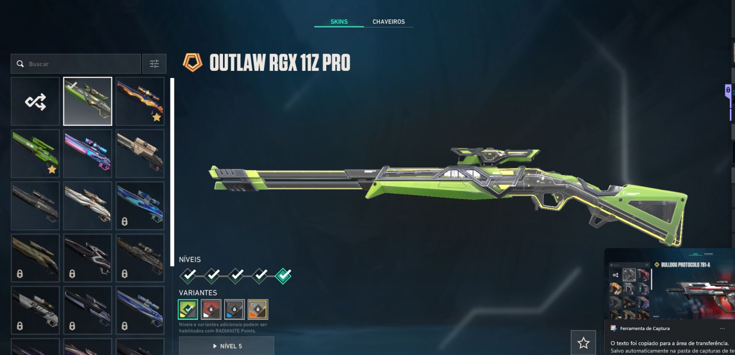 Conta VALORANT 4.2k gastos