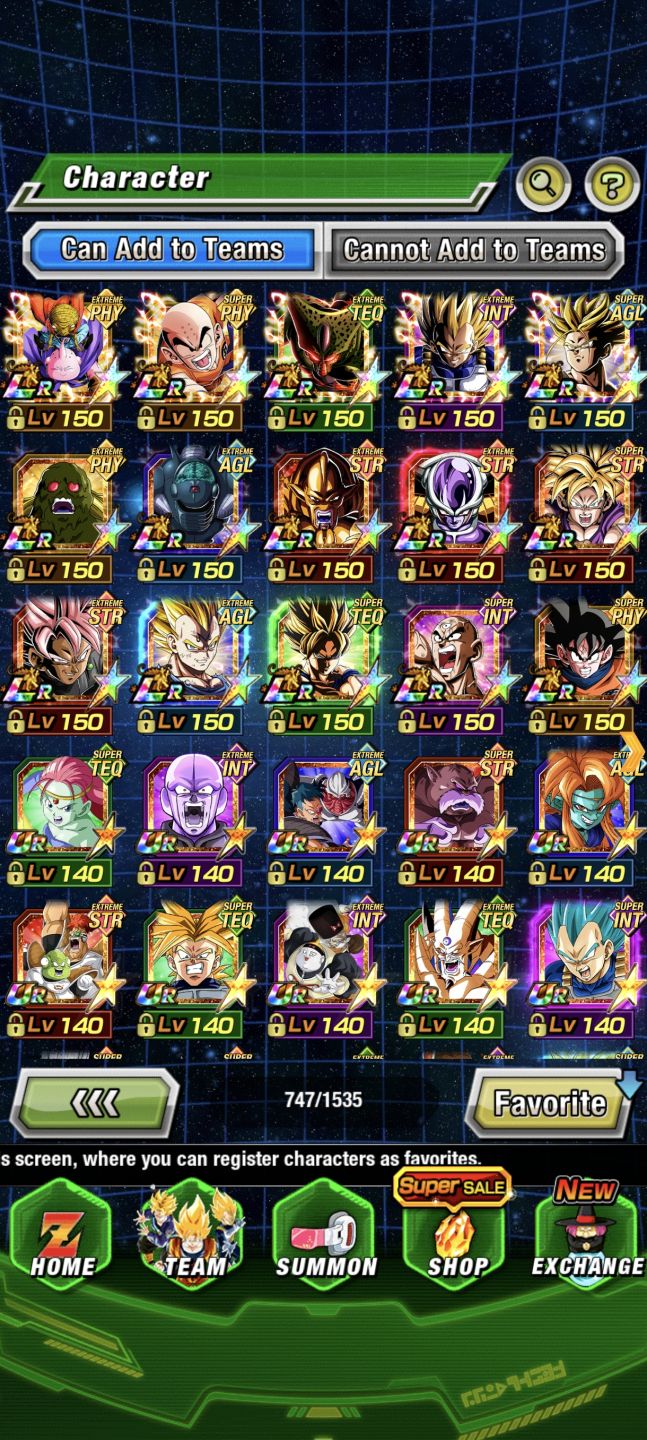 END GAME DOKKAN + 6K STONES