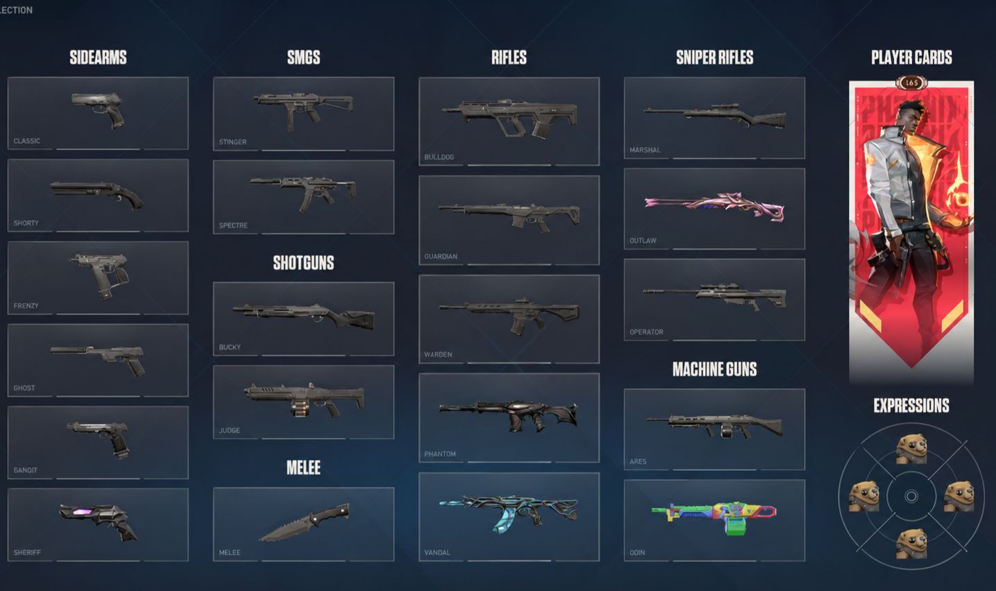 Conta Full com várias skins