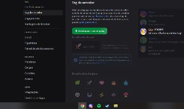 SERVIDOR DE DISCORD COM TAG [SEM IMPULSO]