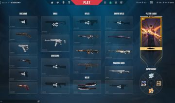 CONTA VALORANT COM TODAS FACAS VCTS, E CHAMPIONS 22