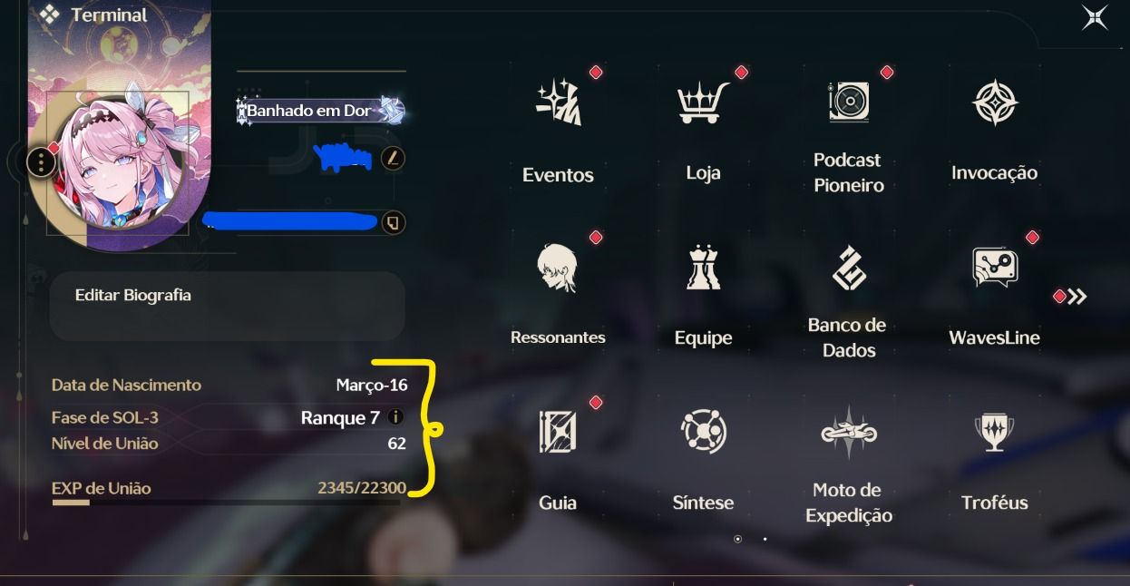 NO GARANTIDO! CONTA WUWA LVL 62 COM TIME PREMIUM DA AEMEATH R1, JINGRAN R1 E++