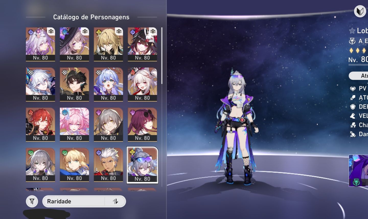 CONTA HSR LVL 70 21 PERSONAGENS T5 + 11 CONES T5