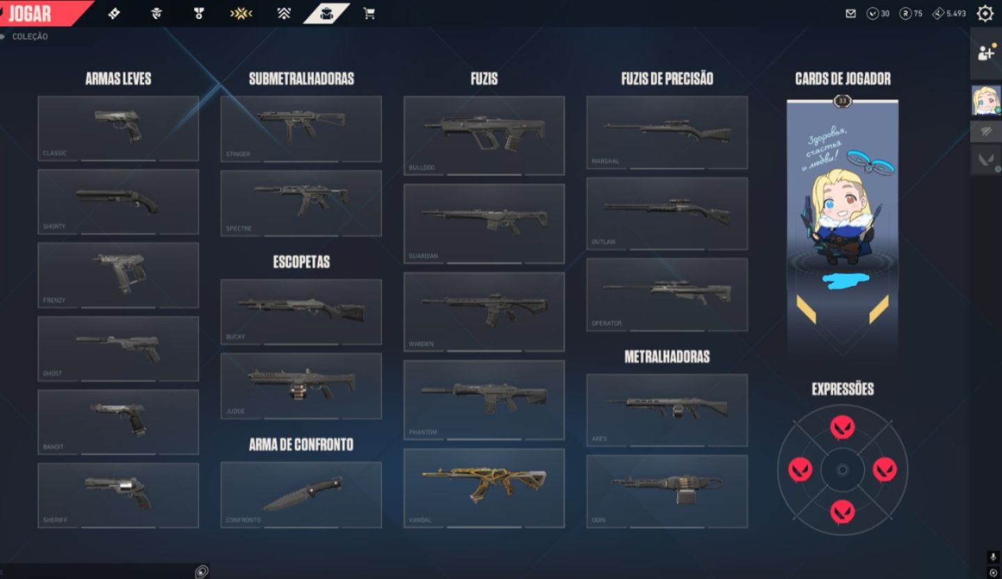 CONTA VALORANT SMURF LEVEL 33 ASCEDENTE 3 COM SKIN VANDAL RGX ( DONO UNICO )
