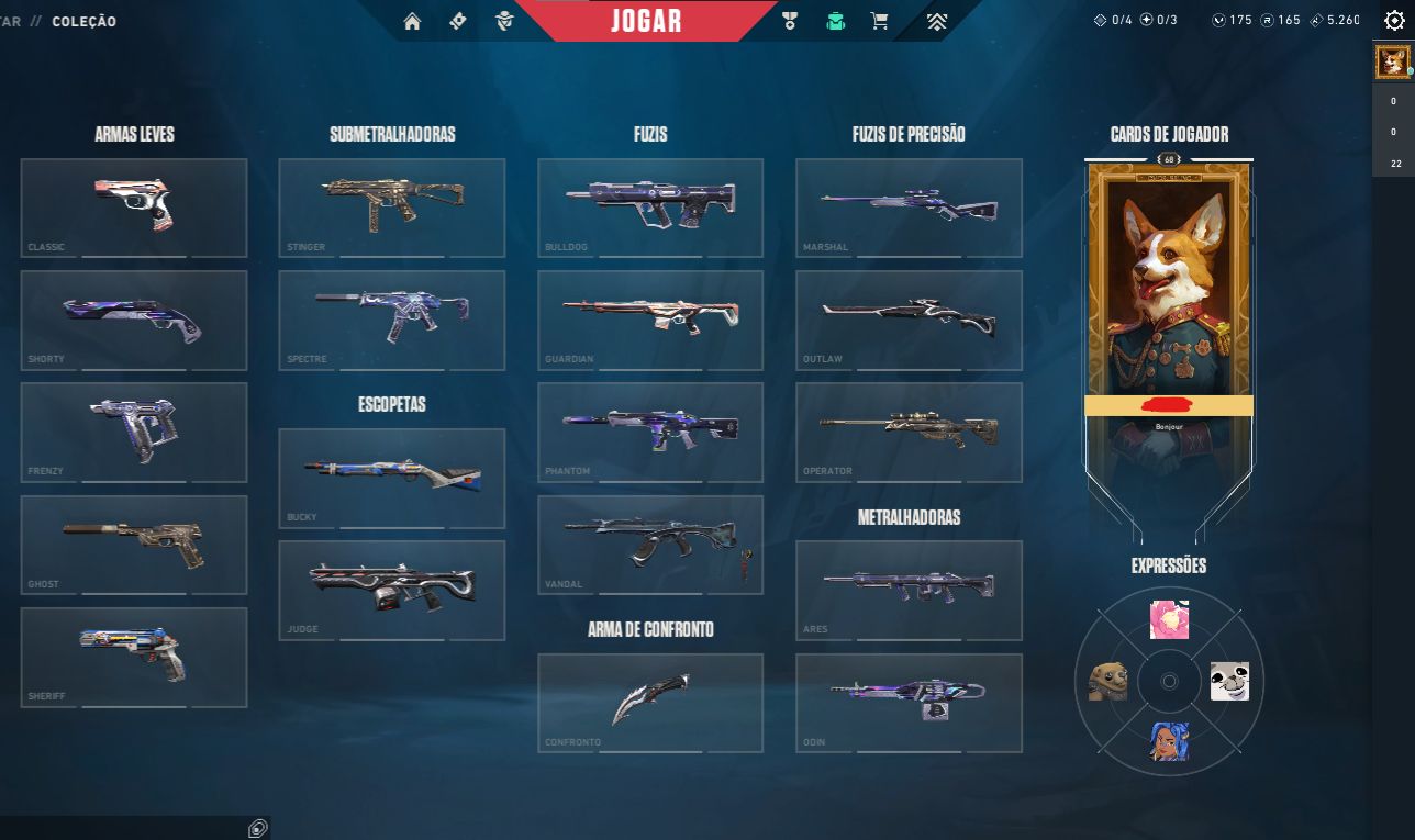 CONTA VALORANT COM VANDAL HERÓI VALOROSO, ONI, SKINS DE PASSE E ETC