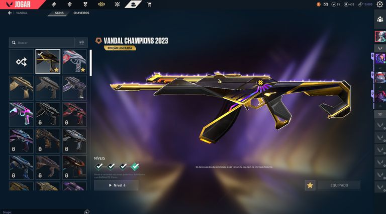 Conta Valorant Elo Plat 2 Cheia de Skins