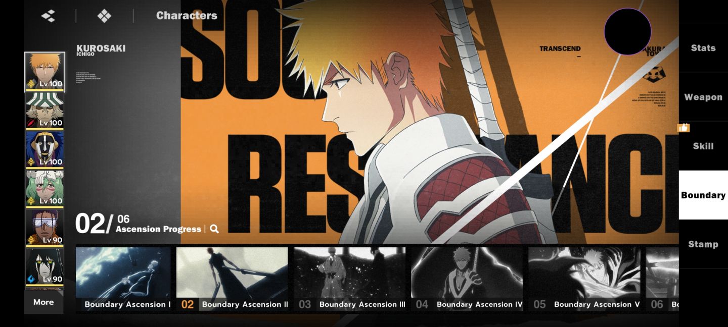 CONTA TOP BLEACH SOUL RESONANCE