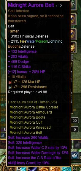 Tamer Full DR PvE +12