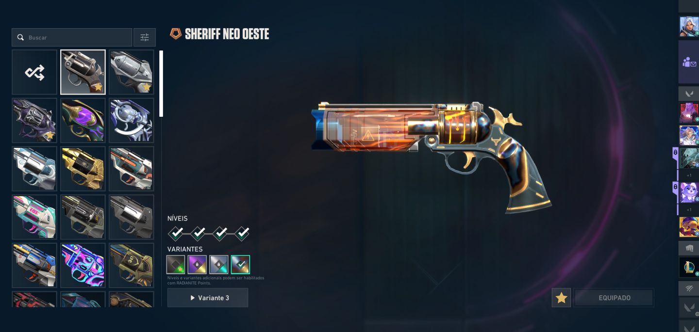 Conta de Vava com 72 Skins de Loja, Incluindo Pacotes Champions