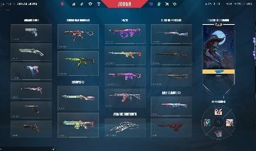 CONTA DE 2017 VALORANT E LOL (1K200 GASTOS)