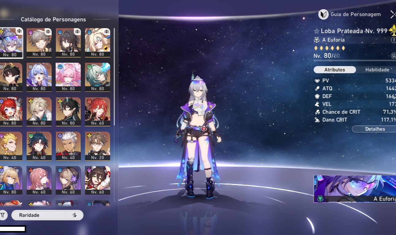 CONTA NIVEL 66 - SILVER WOLF 999 + CONE