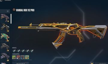 CONTA COM DIVERSAS SKINS E CARDS DO BETA