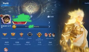 PRA LOGOOO Conta honor of Kings NOBREZA "9" COM 365 skins