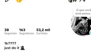CONTA DO TIKTOK COM 100 SEGUIDORES E 53,2K DE CURTIDAS, TK ESTÚDIO + SHOPI