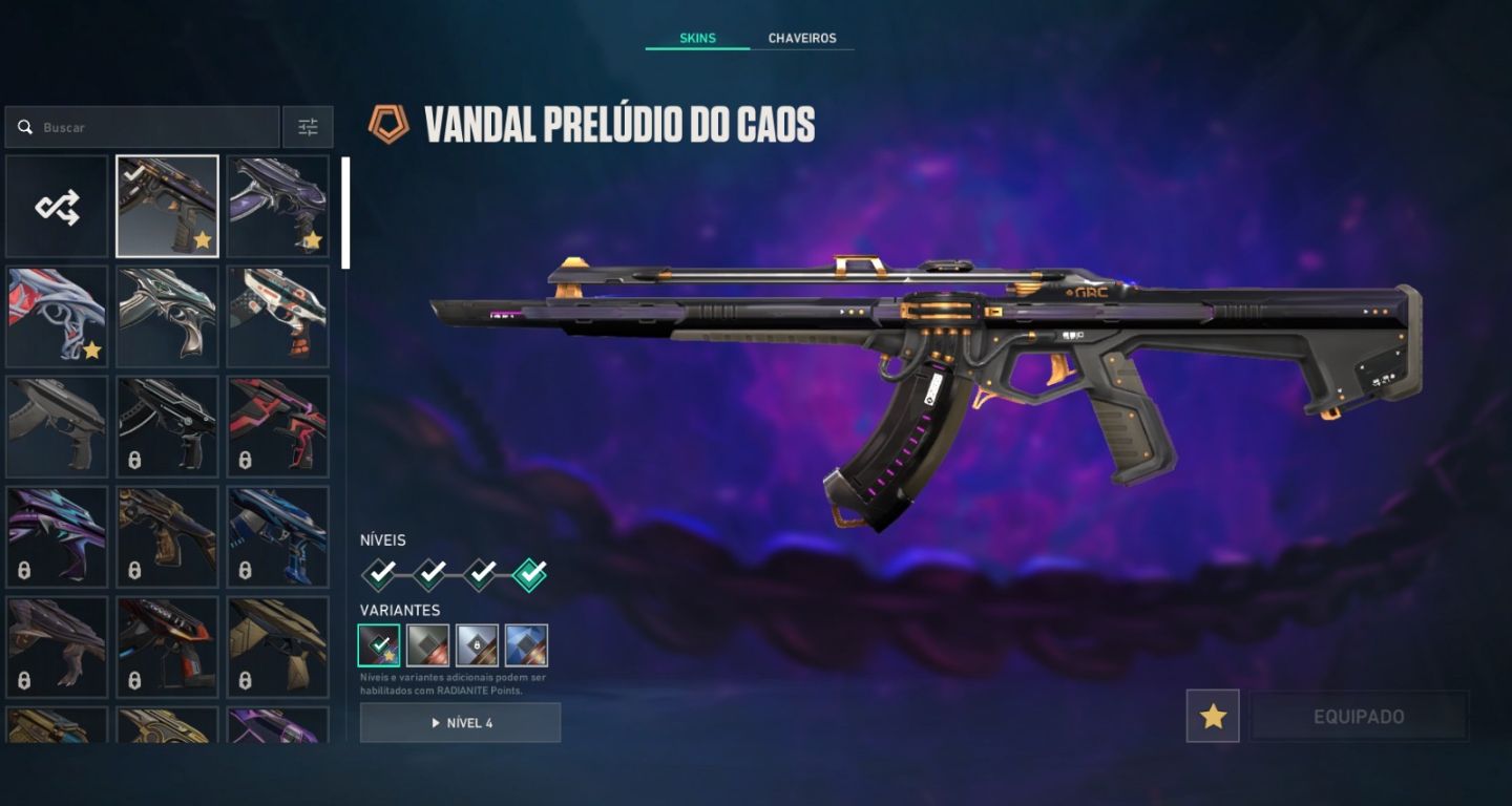 [CONTA VALORANT COM MUITAS SKINS, COMBO VANDAL PRELUDIO + XENOHUNTER NIVEL 246]