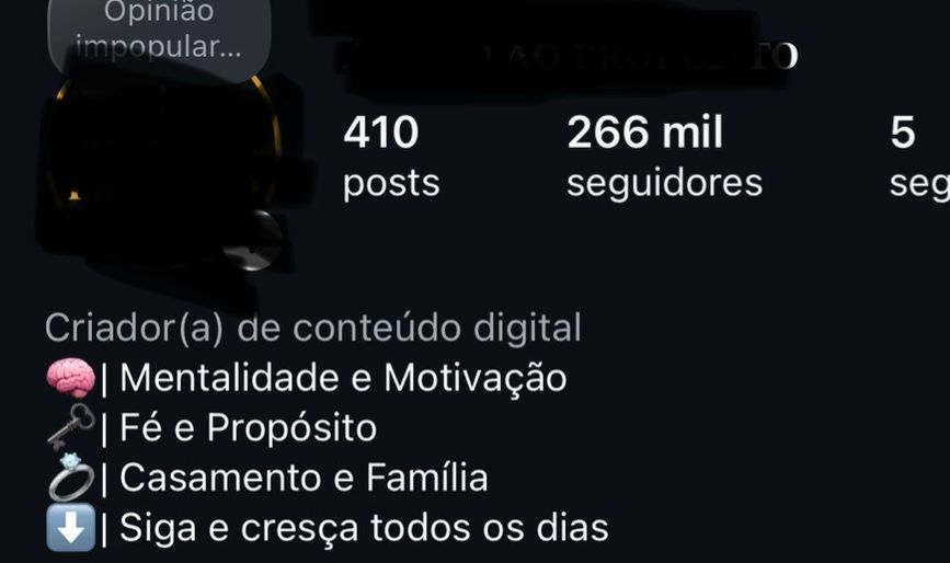 Página Instagram 266K Seguidores Reais