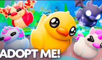 Combo de Patinhos Adopt Me! - Pronta Entrega