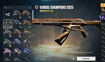 Conta com champions, vct, vandal arcane e várias outras