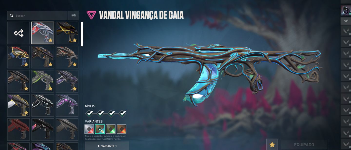 CONTA VALORANT IMORTAL 1 | KARAMBIT + BUTTERFLY + CHAMPIONS 2023